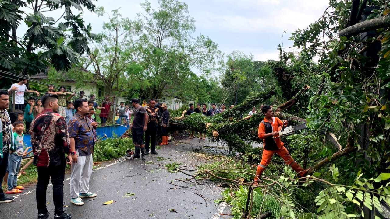 Respon Gercep Penanganan Pohon Tumbang 18 Titikdi Kec. Medan Tuntungan